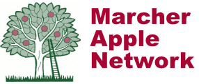 Marcher Apple Network